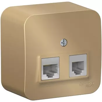 Розетка телефонная RJ-11 + Ethernet RJ-45 (титан) Systeme Electric Blanca BLNIA045114