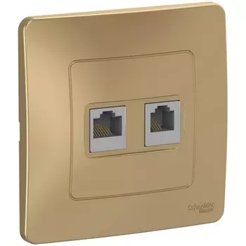 Розетка телефонная RJ-11 + Ethernet RJ-45 (титан) Systeme Electric Blanca BLNIS045114