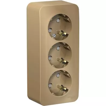 Розетка тройная с заземлением и шторками (титан) Systeme Electric Blanca BLNRA011314