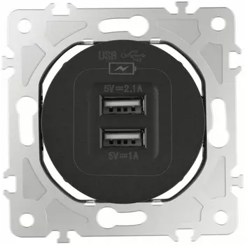 Розетка USB 2.1А+1А Arte Milano am-202 202.46-1.black