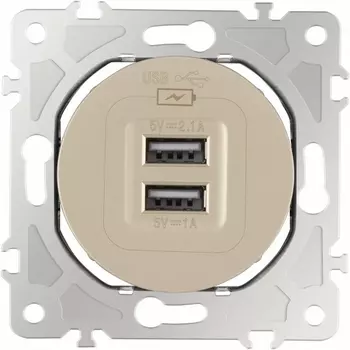 Розетка USB 2.1А+1А Arte Milano am-202 202.46-1.shampan