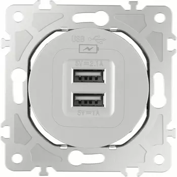 Розетка USB 2.1А+1А Arte Milano am-202 202.46-1.silver
