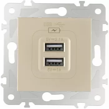 Розетка USB 2.1А+1А Arte Milano am-203 203.46-1.shampan
