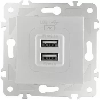 Розетка USB 2.1А+1А Arte Milano am-203 203.46-1.silver