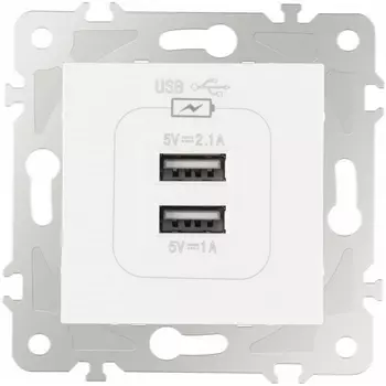 Розетка USB 2.1А+1А Arte Milano am-203 203.46-1.white