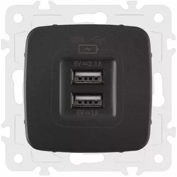 Розетка USB 2.1А+1А Arte Milano am-205 205.46-1.black