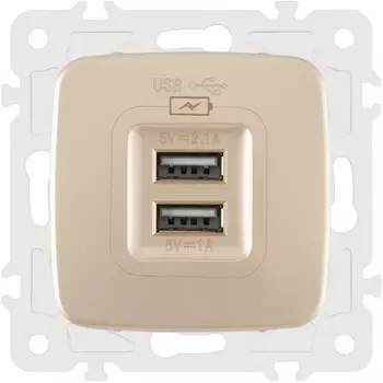Розетка USB 2.1А+1А Arte Milano am-205 205.46-1.shampan