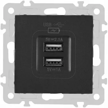 Розетка USB 2.1А+1А Arte Milano am-206 206.46-1.black