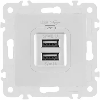 Розетка USB 2.1А+1А Arte Milano am-206 206.46-1.silver