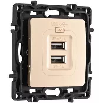 Розетка USB 2.1А+1А Arte Milano am-217 217.46-1.shampan