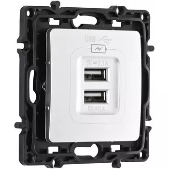 Розетка USB 2.1А+1А Arte Milano am-217 217.46-1.silver