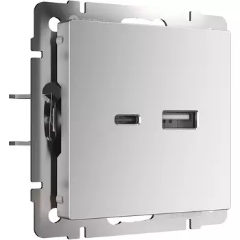 Розетка USB тип A+С (серебряный) W1171806 (a054347) (Werkel)
