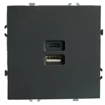 Розетка USB Type A+С (черный) Stekker Эмили 49853