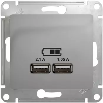 Розетка USBх2 (алюминий) Systeme Electric Glossa GSL000333