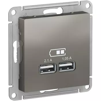 Розетка USBх2 (сталь) Systeme Electric AtlasDesign ATN000933