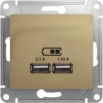 Розетка USBх2 (титан) Systeme Electric Glossa GSL000433