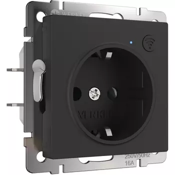 Умная розетка (черный матовый) Werkel W1171608 (a056422)