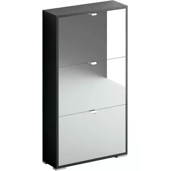 Шкаф для обуви Reggy 3 ОГОГО (арт.332238), (ЛДСП/Зеркальный) ОГОГО Обстановочка!