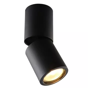 Спот 1800/04 PL-1 Divinare Gavroche Posto