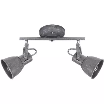 Спот Arte Lamp Jovi A1677PL-2GY