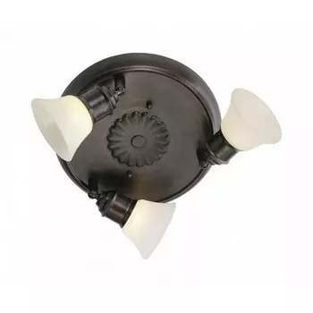 Спот Alamo 89061 (Eglo)