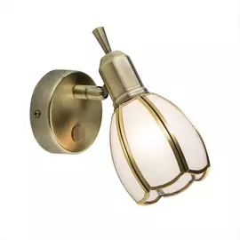 Спот Alten CL522611 (Citilux)