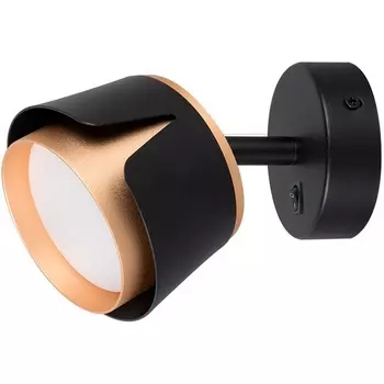 Спот Arte Lamp Amaks A8028AP-1BK