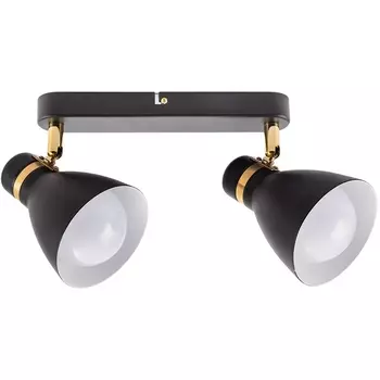 Спот Arte Lamp Fafnir A5047PL-2BK