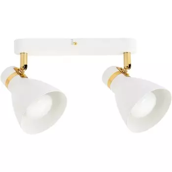 Спот Arte Lamp Fafnir A5047PL-2WH