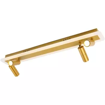 Спот Arte Lamp Tommy A2607PL-30GO