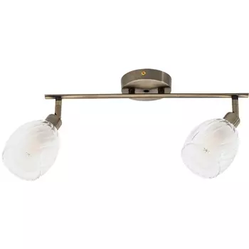Спот Arte Lamp Biham A3184PL-2AB
