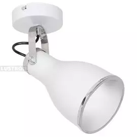 Спот Bjorn 9164 (Luminex)