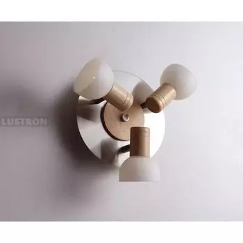 Спот бук W089.3R Lucia Tucci Natura