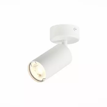 Спот ST Luce Dario ST303.502.01