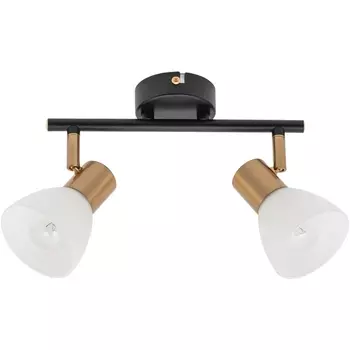 Спот Arte Lamp Falena A3117PL-2BK