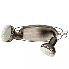 Спот Focus A5219AP-2BR (Artelamp)