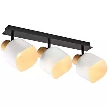 Спот Imex SP.050-53-87