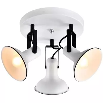 Спот Lussole Fargo LSP-8803