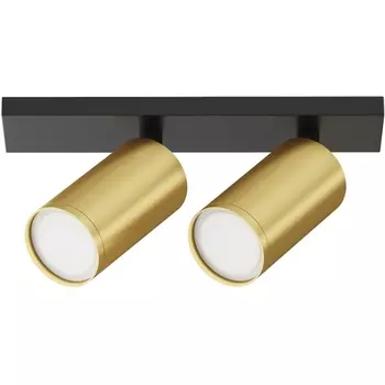Потолочный светильник FOCUS S GU10 2x10Вт Maytoni Technical C051CL-U-02BMG