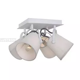 Спот Munich 2176-4U (F-Promo)