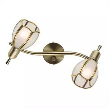 Спот на штанге Alten CL522621 (Citilux)