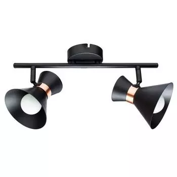 Спот на штанге Arte Lamp Baltimore A1406AP-2BK