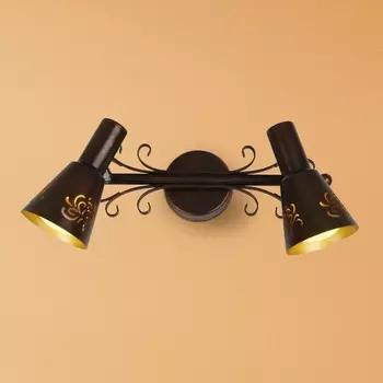 Спот на штанге Дункан Citilux Dunkan CL529521