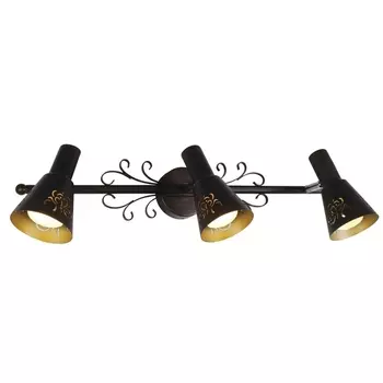 Спот на штанге Дункан Citilux Dunkan CL529531