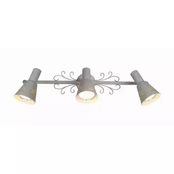 Спот на штанге Дункан Citilux Dunkan CL529532