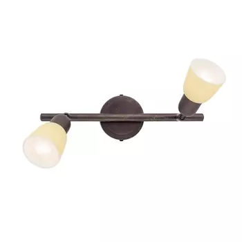 Спот на штанге Citilux Ronda CL506524