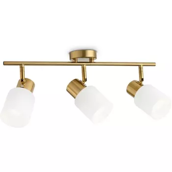 Спот на штанге Ambrella TRADITIONAL TR3972