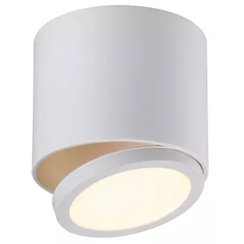 Спот Omnilux Canicatt OML-20501-01