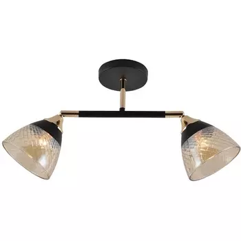 Спот потолочный на штанге Seven Fires Kelemen SF3379/2C-BK-FGD-AM