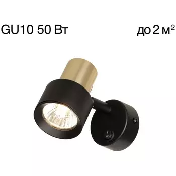 Спот поворотный с включателем Citilux Sat CL505611